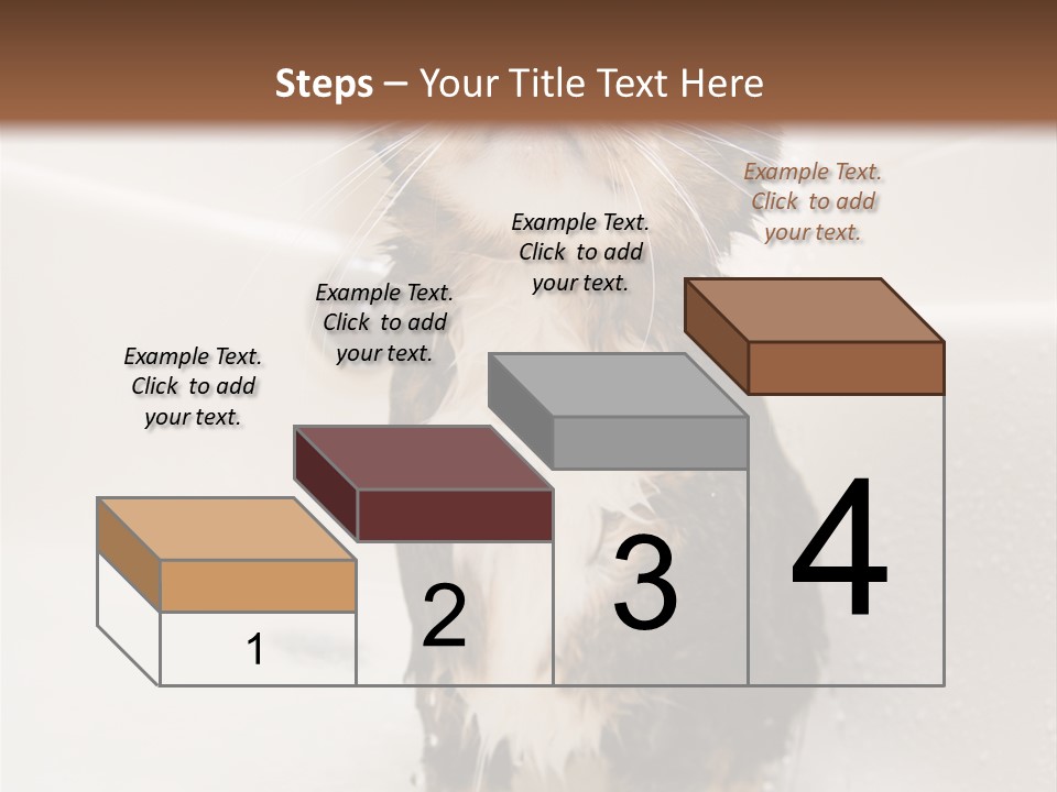 Cat Enjoying A Hot Bath And Shower PowerPoint Template