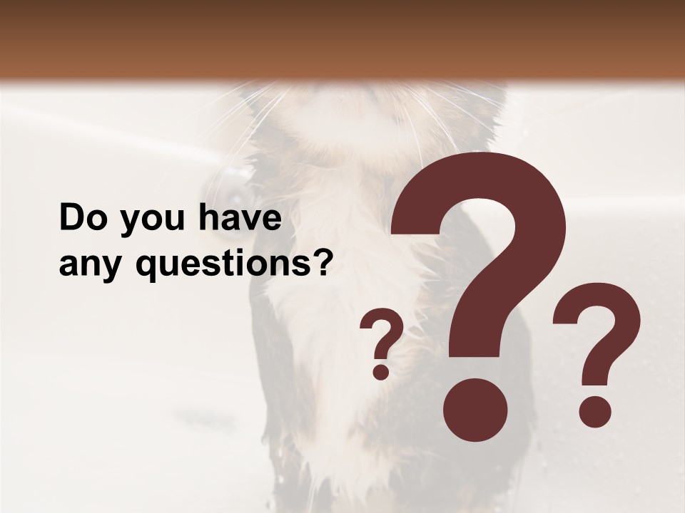 Cat Enjoying A Hot Bath And Shower PowerPoint Template