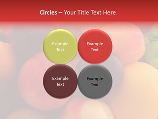 Many Different Colorful Fruits PowerPoint Template