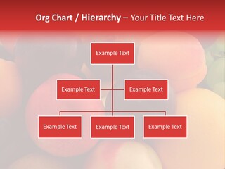 Many Different Colorful Fruits PowerPoint Template