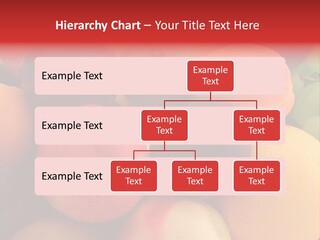 Many Different Colorful Fruits PowerPoint Template