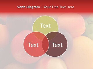 Many Different Colorful Fruits PowerPoint Template