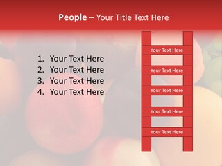 Many Different Colorful Fruits PowerPoint Template