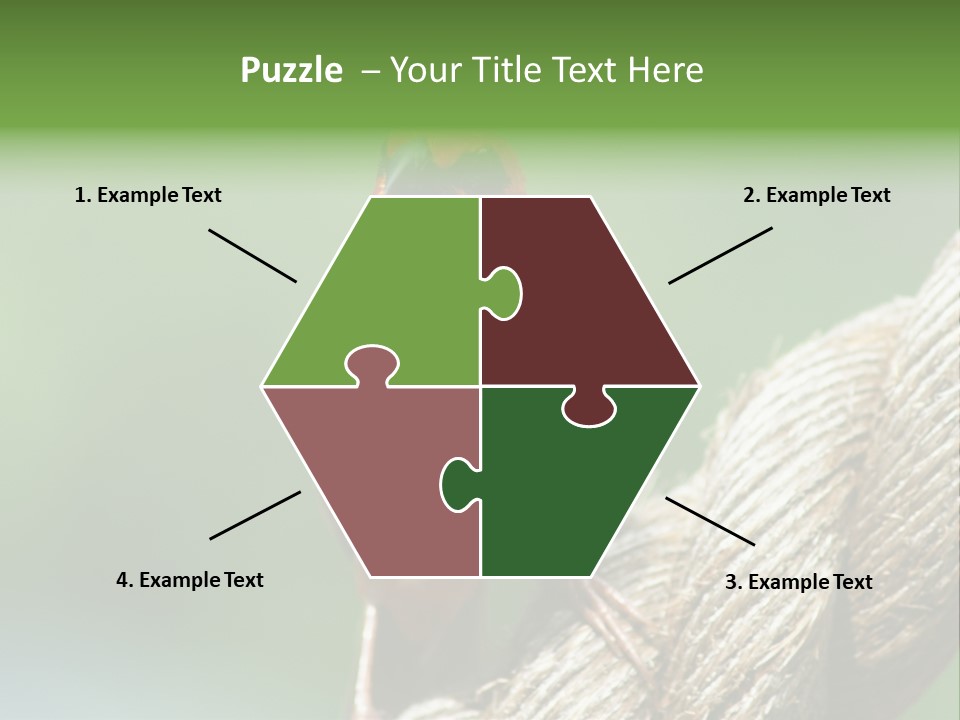 The Male Red Cardinal Or Madagascar Fody (Foudia Madagascariensis), Pictured In The Seychelles Where It Is Common. PowerPoint Template