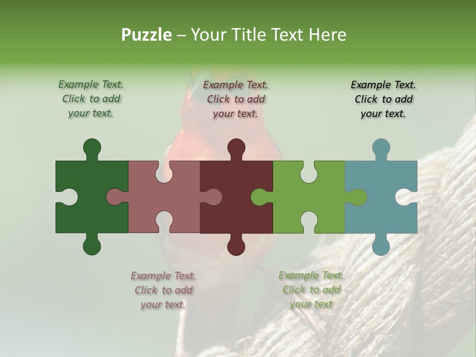 The Male Red Cardinal Or Madagascar Fody (Foudia Madagascariensis), Pictured In The Seychelles Where It Is Common. PowerPoint Template