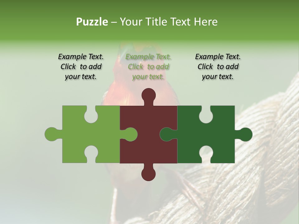 The Male Red Cardinal Or Madagascar Fody (Foudia Madagascariensis), Pictured In The Seychelles Where It Is Common. PowerPoint Template