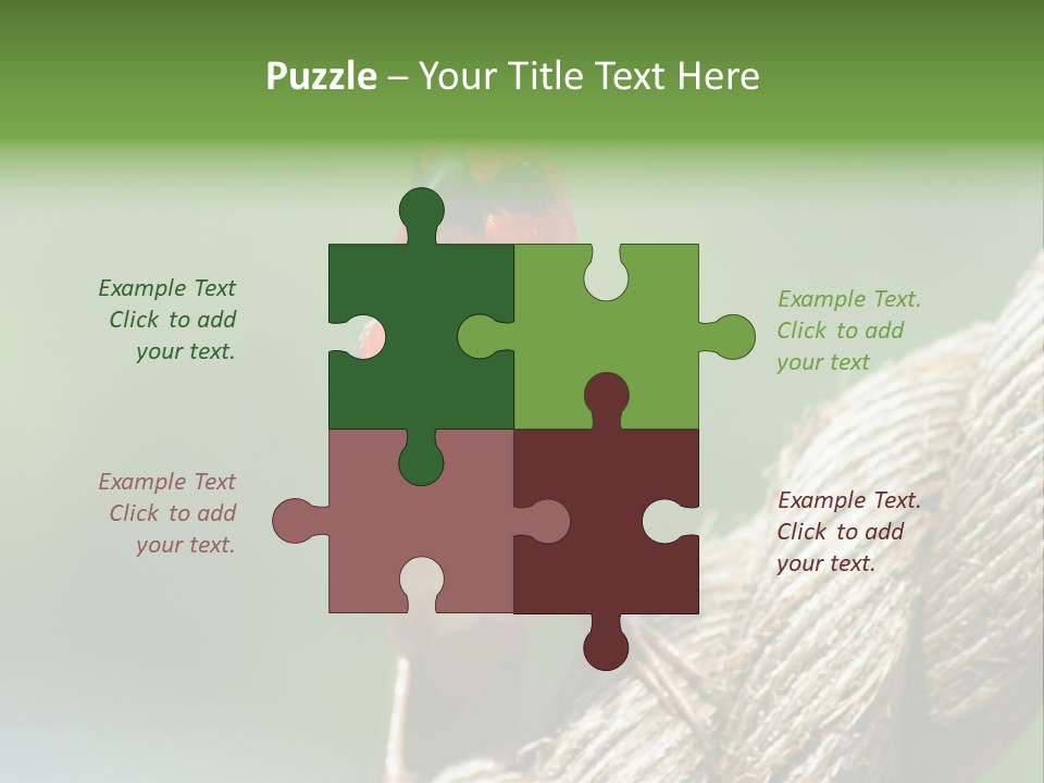 The Male Red Cardinal Or Madagascar Fody (Foudia Madagascariensis), Pictured In The Seychelles Where It Is Common. PowerPoint Template