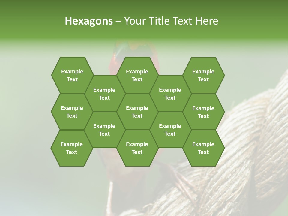 The Male Red Cardinal Or Madagascar Fody (Foudia Madagascariensis), Pictured In The Seychelles Where It Is Common. PowerPoint Template