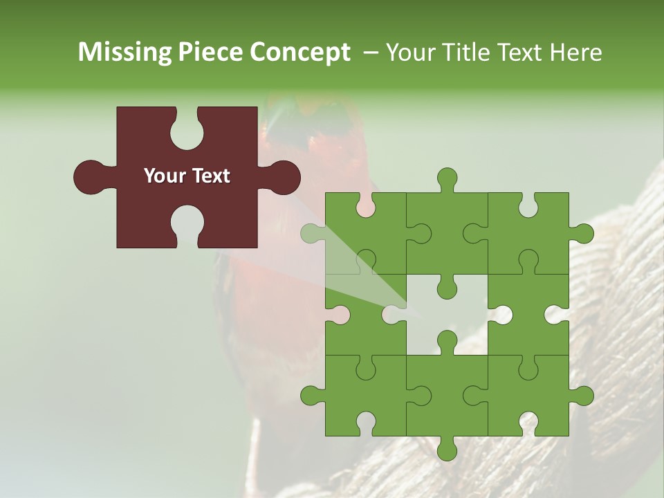 The Male Red Cardinal Or Madagascar Fody (Foudia Madagascariensis), Pictured In The Seychelles Where It Is Common. PowerPoint Template