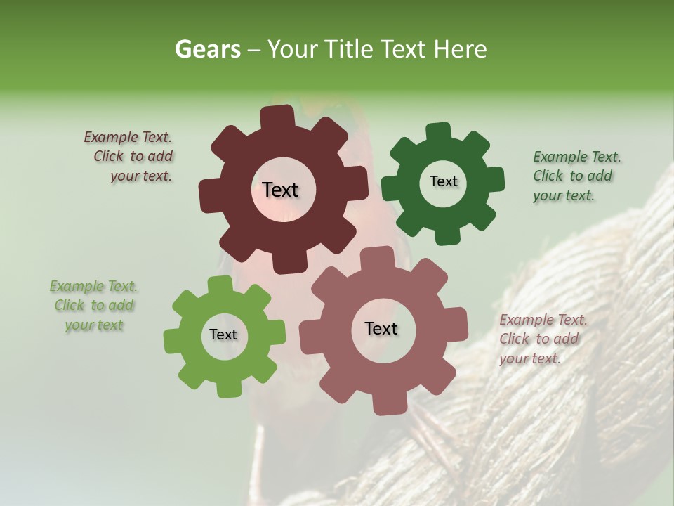 The Male Red Cardinal Or Madagascar Fody (Foudia Madagascariensis), Pictured In The Seychelles Where It Is Common. PowerPoint Template