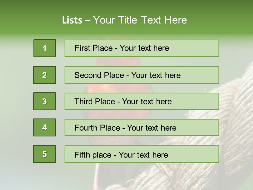 The Male Red Cardinal Or Madagascar Fody (Foudia Madagascariensis), Pictured In The Seychelles Where It Is Common. PowerPoint Template