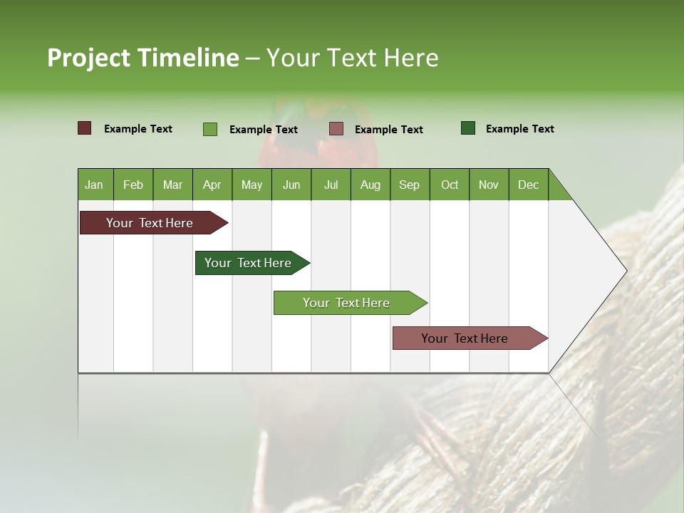 The Male Red Cardinal Or Madagascar Fody (Foudia Madagascariensis), Pictured In The Seychelles Where It Is Common. PowerPoint Template