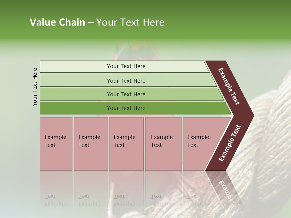 The Male Red Cardinal Or Madagascar Fody (Foudia Madagascariensis), Pictured In The Seychelles Where It Is Common. PowerPoint Template