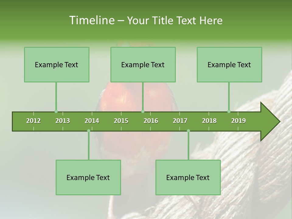 The Male Red Cardinal Or Madagascar Fody (Foudia Madagascariensis), Pictured In The Seychelles Where It Is Common. PowerPoint Template