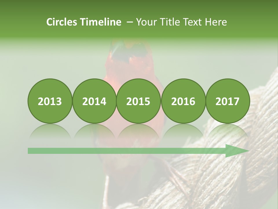 The Male Red Cardinal Or Madagascar Fody (Foudia Madagascariensis), Pictured In The Seychelles Where It Is Common. PowerPoint Template