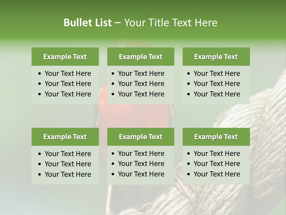 The Male Red Cardinal Or Madagascar Fody (Foudia Madagascariensis), Pictured In The Seychelles Where It Is Common. PowerPoint Template