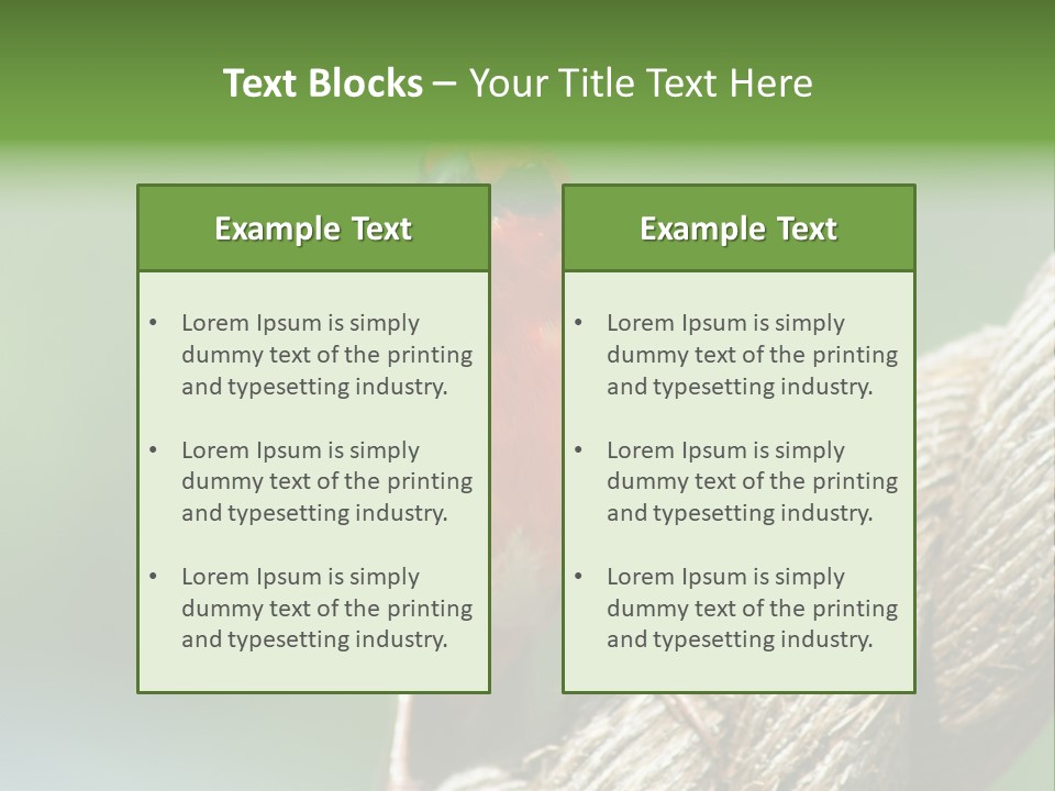 The Male Red Cardinal Or Madagascar Fody (Foudia Madagascariensis), Pictured In The Seychelles Where It Is Common. PowerPoint Template