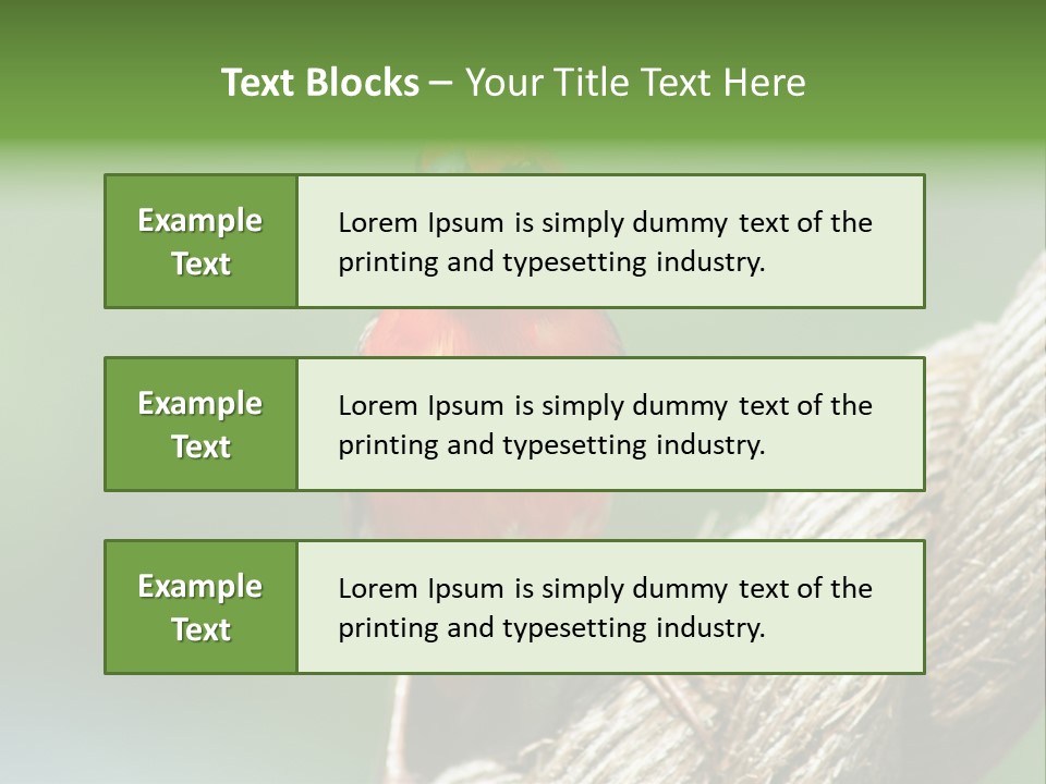 The Male Red Cardinal Or Madagascar Fody (Foudia Madagascariensis), Pictured In The Seychelles Where It Is Common. PowerPoint Template