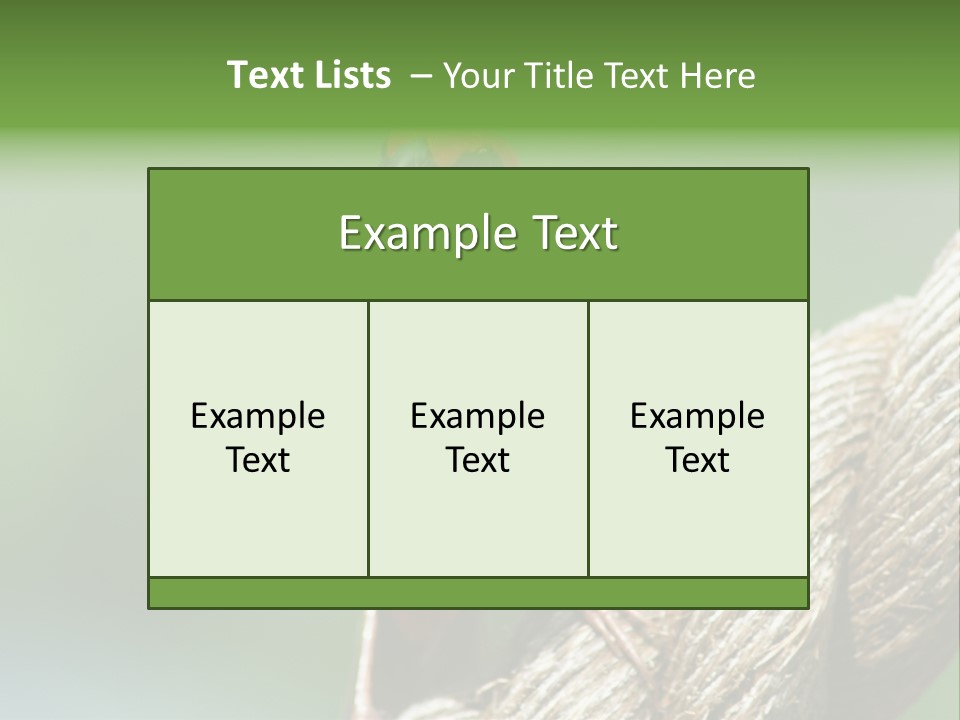 The Male Red Cardinal Or Madagascar Fody (Foudia Madagascariensis), Pictured In The Seychelles Where It Is Common. PowerPoint Template