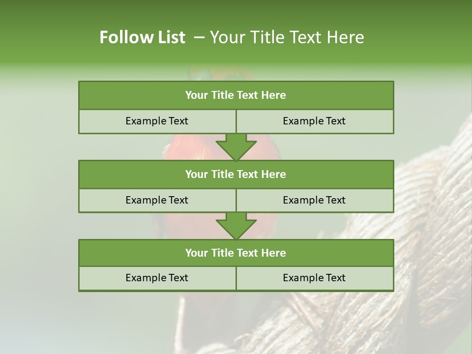 The Male Red Cardinal Or Madagascar Fody (Foudia Madagascariensis), Pictured In The Seychelles Where It Is Common. PowerPoint Template