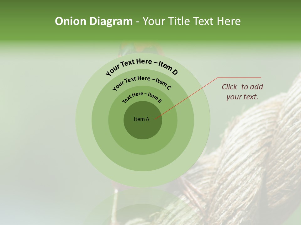 The Male Red Cardinal Or Madagascar Fody (Foudia Madagascariensis), Pictured In The Seychelles Where It Is Common. PowerPoint Template