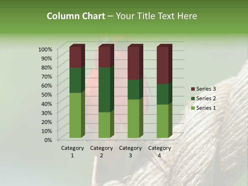 The Male Red Cardinal Or Madagascar Fody (Foudia Madagascariensis), Pictured In The Seychelles Where It Is Common. PowerPoint Template