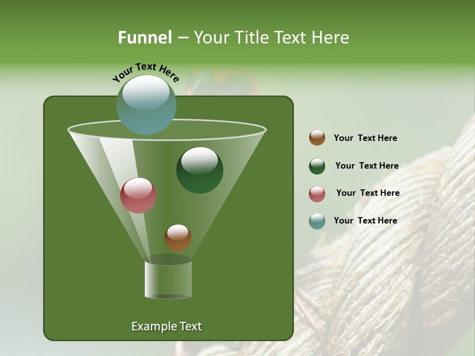 The Male Red Cardinal Or Madagascar Fody (Foudia Madagascariensis), Pictured In The Seychelles Where It Is Common. PowerPoint Template