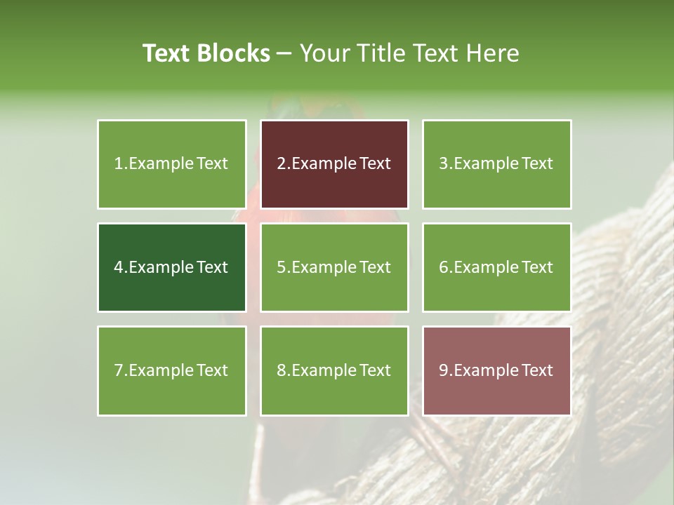 The Male Red Cardinal Or Madagascar Fody (Foudia Madagascariensis), Pictured In The Seychelles Where It Is Common. PowerPoint Template