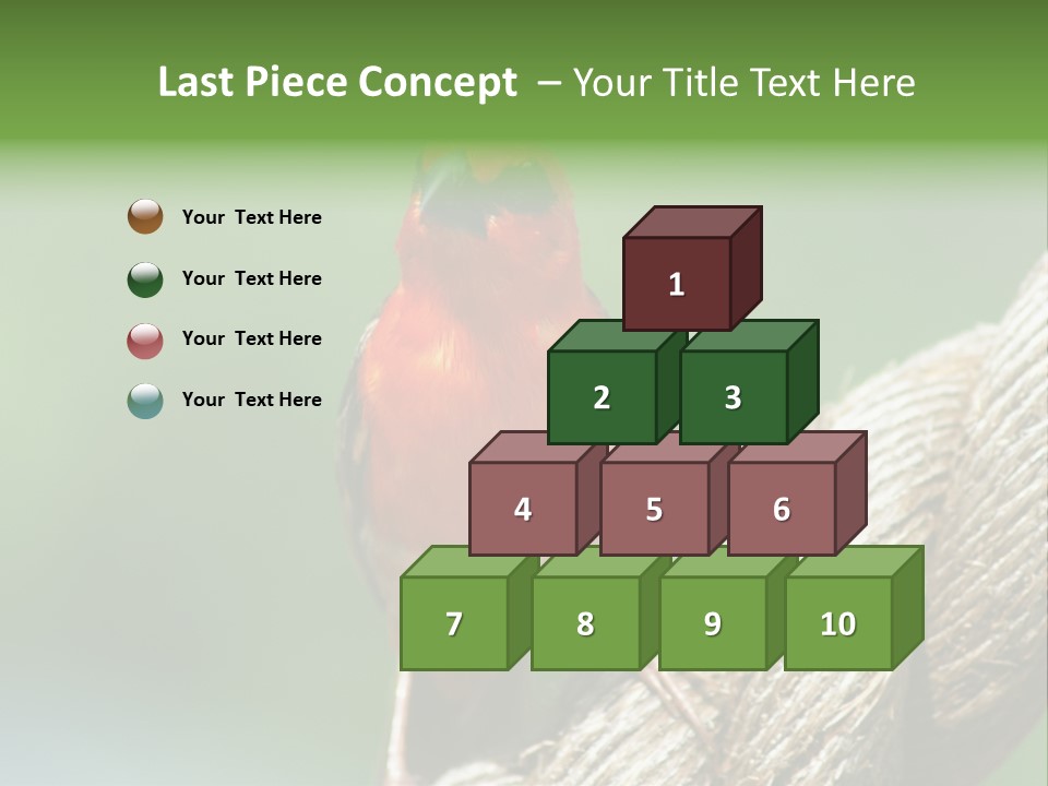 The Male Red Cardinal Or Madagascar Fody (Foudia Madagascariensis), Pictured In The Seychelles Where It Is Common. PowerPoint Template