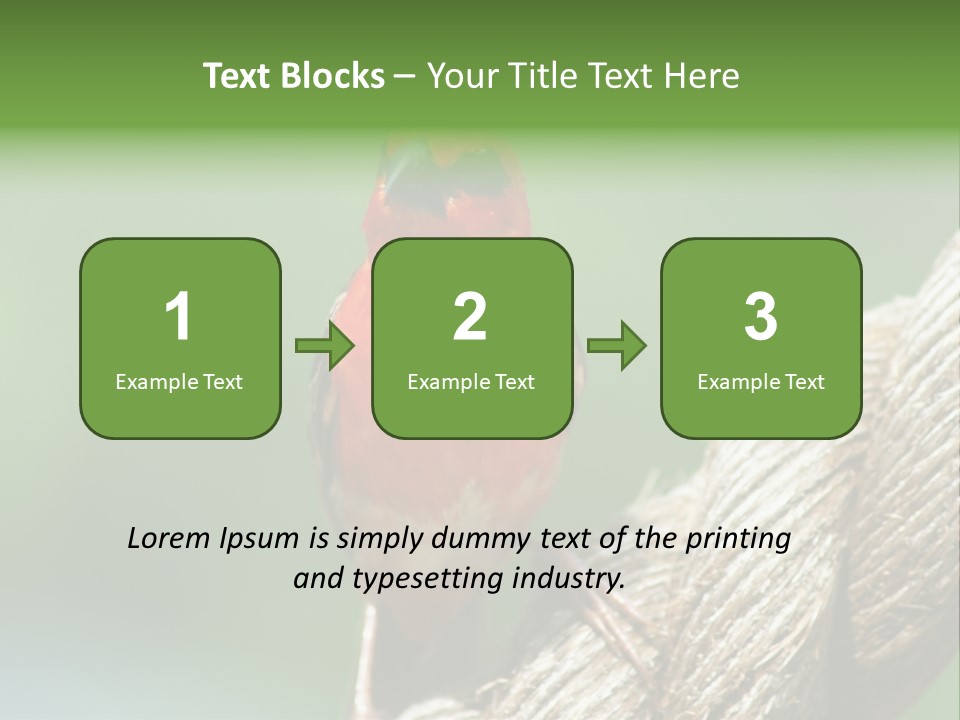 The Male Red Cardinal Or Madagascar Fody (Foudia Madagascariensis), Pictured In The Seychelles Where It Is Common. PowerPoint Template