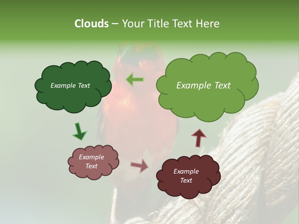 The Male Red Cardinal Or Madagascar Fody (Foudia Madagascariensis), Pictured In The Seychelles Where It Is Common. PowerPoint Template
