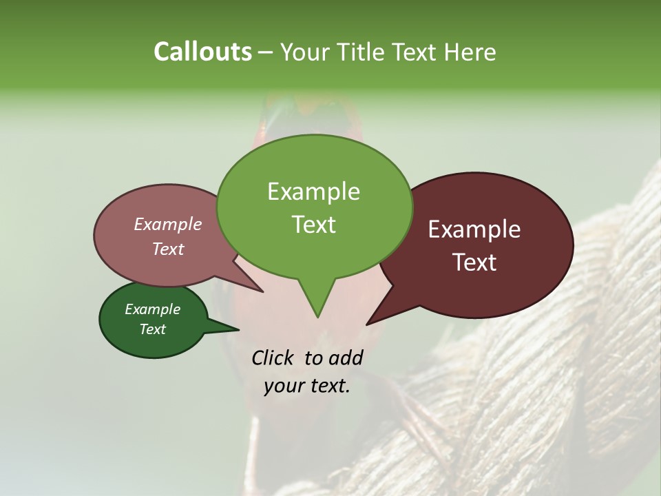 The Male Red Cardinal Or Madagascar Fody (Foudia Madagascariensis), Pictured In The Seychelles Where It Is Common. PowerPoint Template