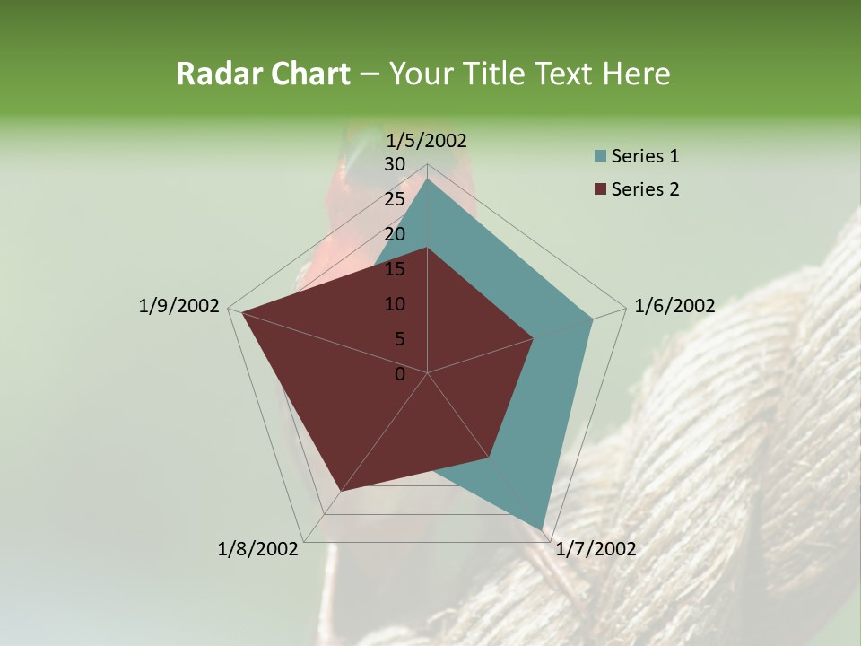 The Male Red Cardinal Or Madagascar Fody (Foudia Madagascariensis), Pictured In The Seychelles Where It Is Common. PowerPoint Template
