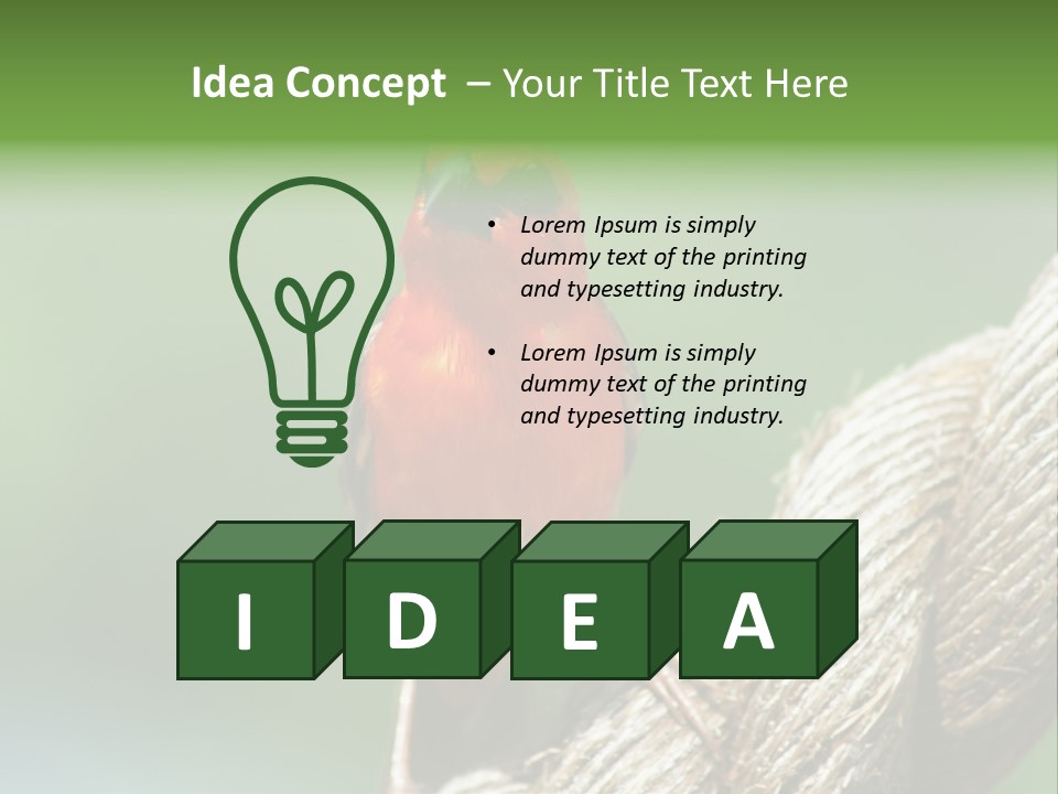 The Male Red Cardinal Or Madagascar Fody (Foudia Madagascariensis), Pictured In The Seychelles Where It Is Common. PowerPoint Template