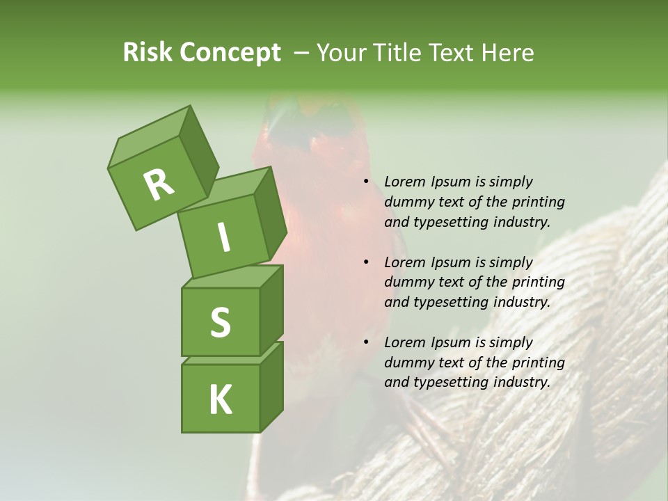 The Male Red Cardinal Or Madagascar Fody (Foudia Madagascariensis), Pictured In The Seychelles Where It Is Common. PowerPoint Template