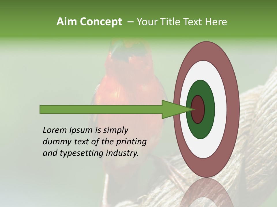 The Male Red Cardinal Or Madagascar Fody (Foudia Madagascariensis), Pictured In The Seychelles Where It Is Common. PowerPoint Template