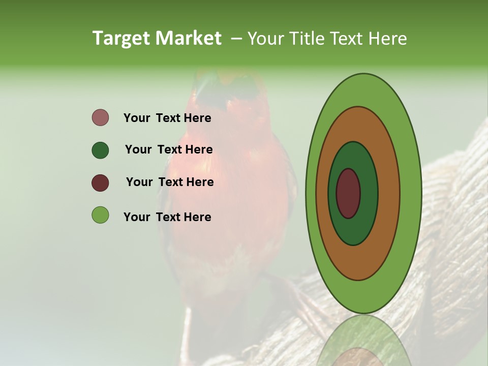 The Male Red Cardinal Or Madagascar Fody (Foudia Madagascariensis), Pictured In The Seychelles Where It Is Common. PowerPoint Template