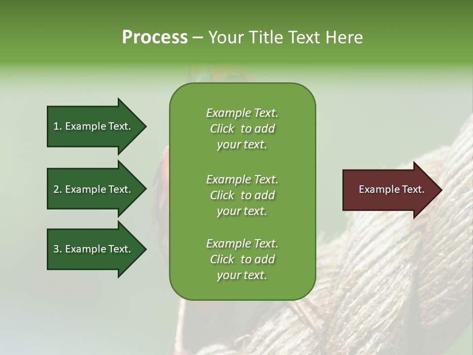 The Male Red Cardinal Or Madagascar Fody (Foudia Madagascariensis), Pictured In The Seychelles Where It Is Common. PowerPoint Template