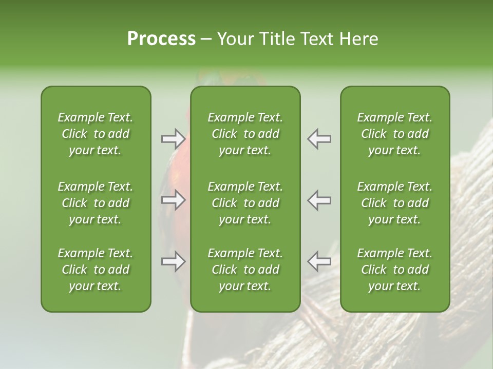 The Male Red Cardinal Or Madagascar Fody (Foudia Madagascariensis), Pictured In The Seychelles Where It Is Common. PowerPoint Template