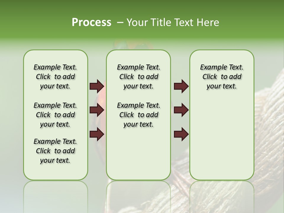 The Male Red Cardinal Or Madagascar Fody (Foudia Madagascariensis), Pictured In The Seychelles Where It Is Common. PowerPoint Template