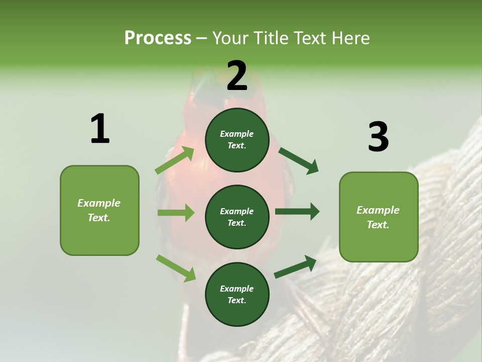 The Male Red Cardinal Or Madagascar Fody (Foudia Madagascariensis), Pictured In The Seychelles Where It Is Common. PowerPoint Template