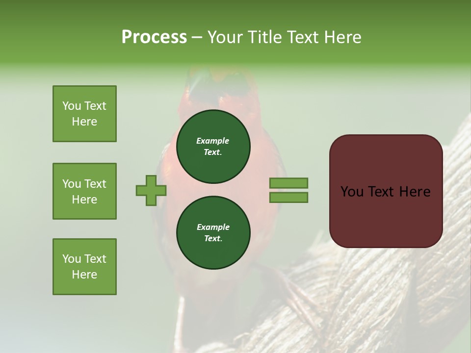 The Male Red Cardinal Or Madagascar Fody (Foudia Madagascariensis), Pictured In The Seychelles Where It Is Common. PowerPoint Template