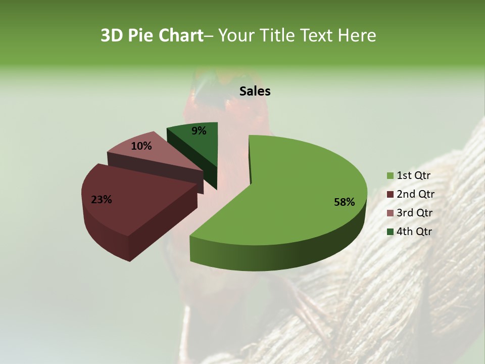 The Male Red Cardinal Or Madagascar Fody (Foudia Madagascariensis), Pictured In The Seychelles Where It Is Common. PowerPoint Template