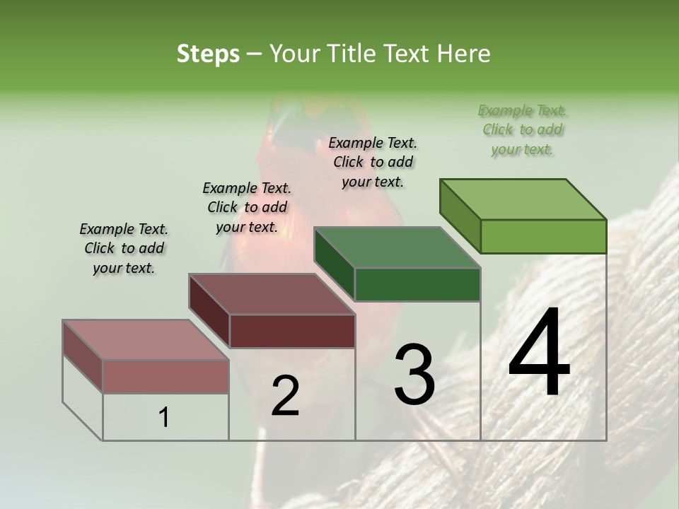 The Male Red Cardinal Or Madagascar Fody (Foudia Madagascariensis), Pictured In The Seychelles Where It Is Common. PowerPoint Template