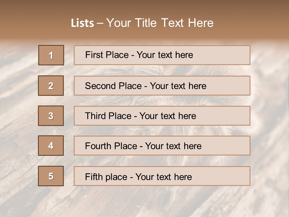 Close Up View Of A Chilean Rose Tarantula - Grammostola Rosea PowerPoint Template