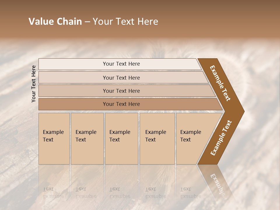Close Up View Of A Chilean Rose Tarantula - Grammostola Rosea PowerPoint Template