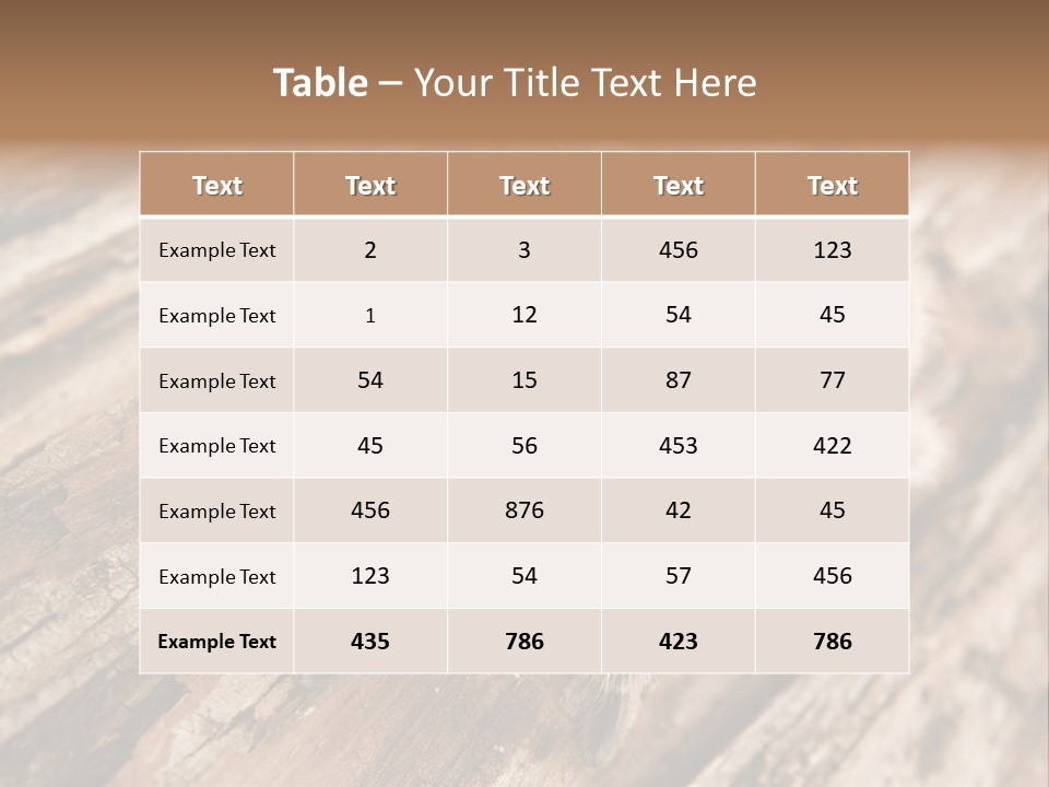 Close Up View Of A Chilean Rose Tarantula - Grammostola Rosea PowerPoint Template