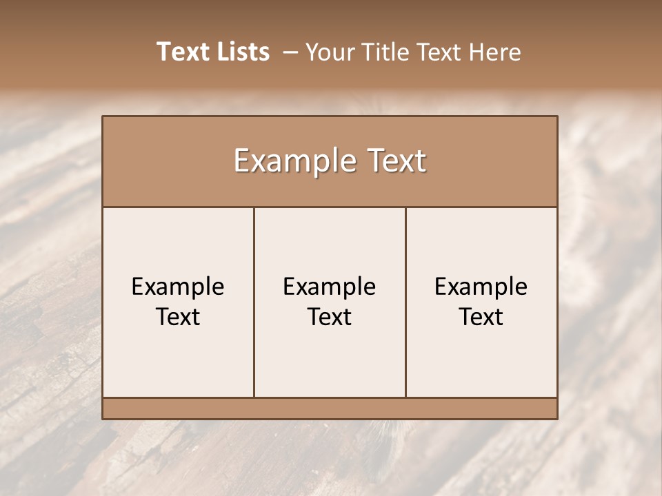 Close Up View Of A Chilean Rose Tarantula - Grammostola Rosea PowerPoint Template