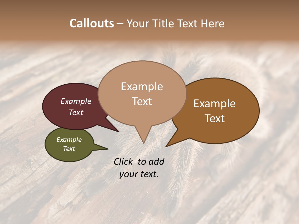 Close Up View Of A Chilean Rose Tarantula - Grammostola Rosea PowerPoint Template