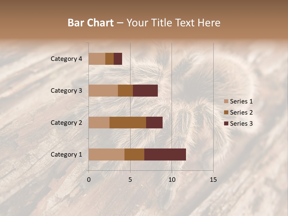 Close Up View Of A Chilean Rose Tarantula - Grammostola Rosea PowerPoint Template